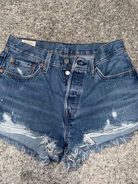 Levi's Blue Distressed Cutoff Denim Shorts